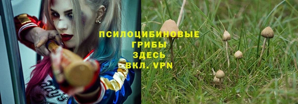 эйфоретик Абинск