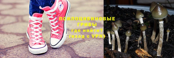 круглые Абаза