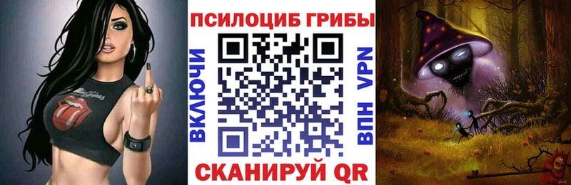 Галлюциногенные грибы Psilocybine cubensis omg как зайти Ядрин